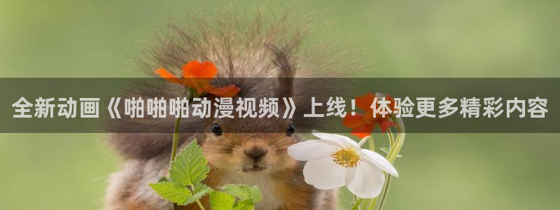 行业资讯